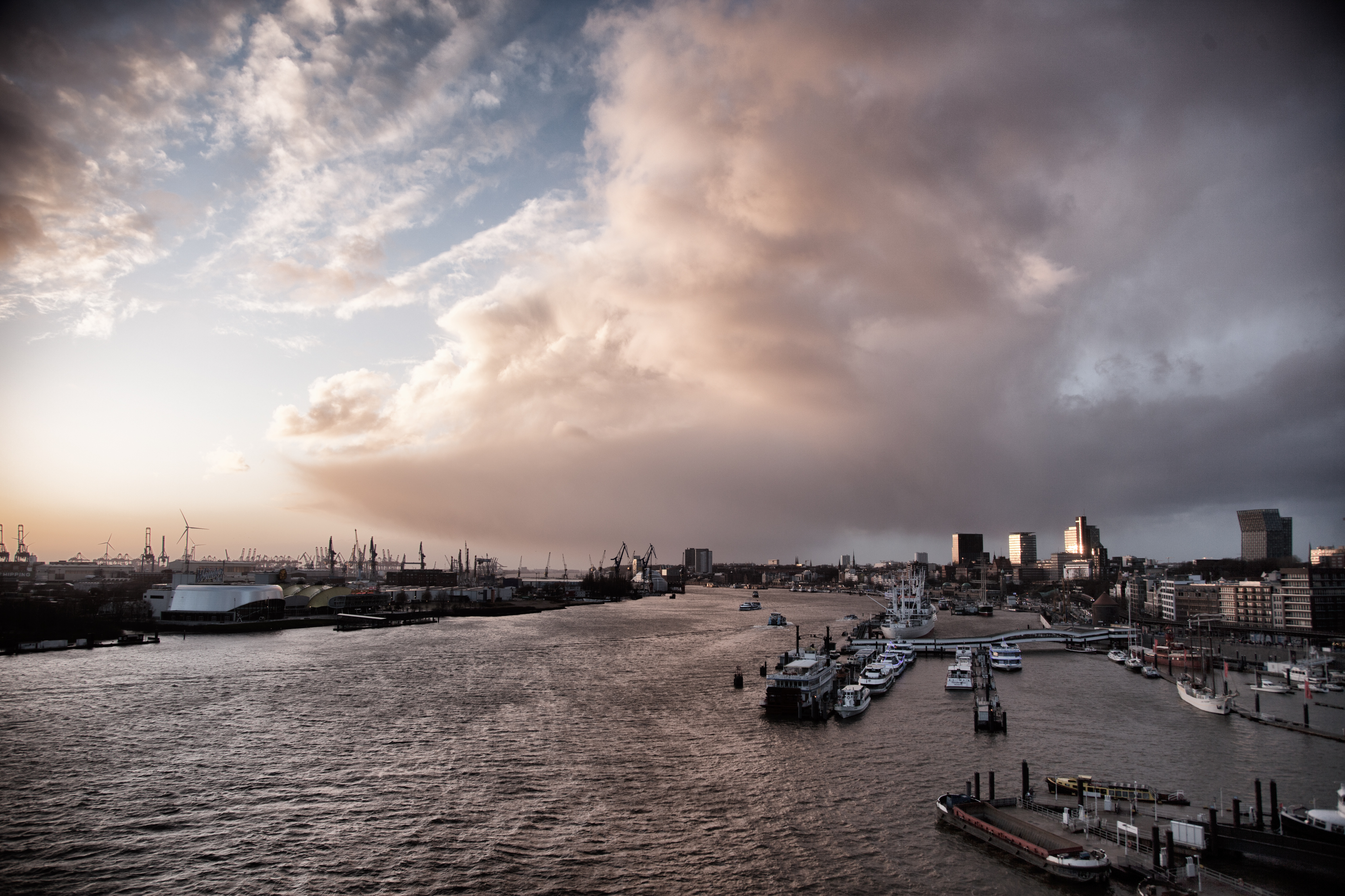 _MG_0794